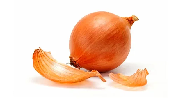 Луковица Луковица