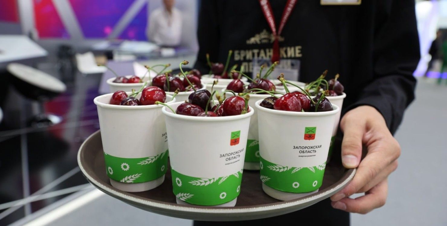 Цинізм зашкалює: на форумі у Петербурзі похвалилися краденою мелітопольською черешнею - 24 Канал Цинізм зашкалює: на форумі у Петербурзі похвалилися краденою мелітопольською черешнею - 24 Канал