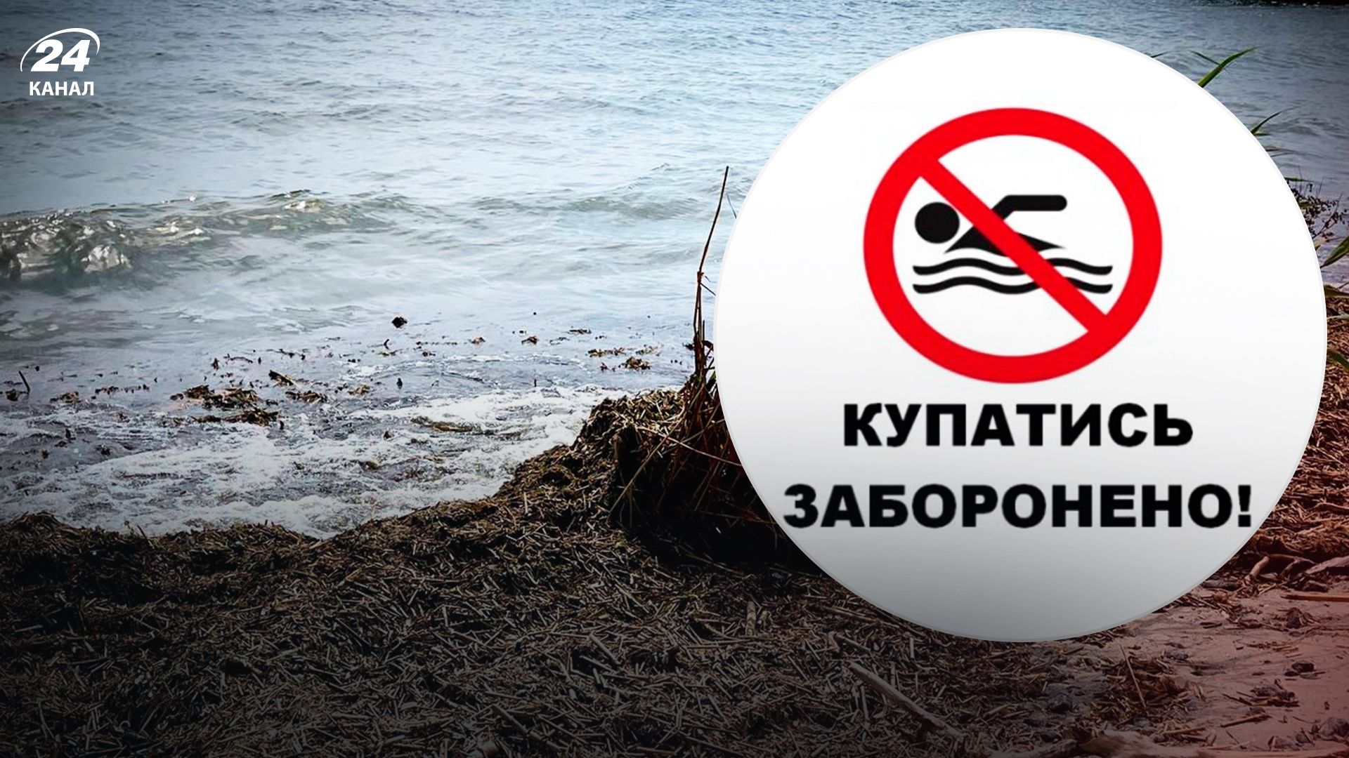 В Одессе запретили купаться в море на всех пляжах - 24 Канал В Одессе запретили купаться в море на всех пляжах - 24 Канал