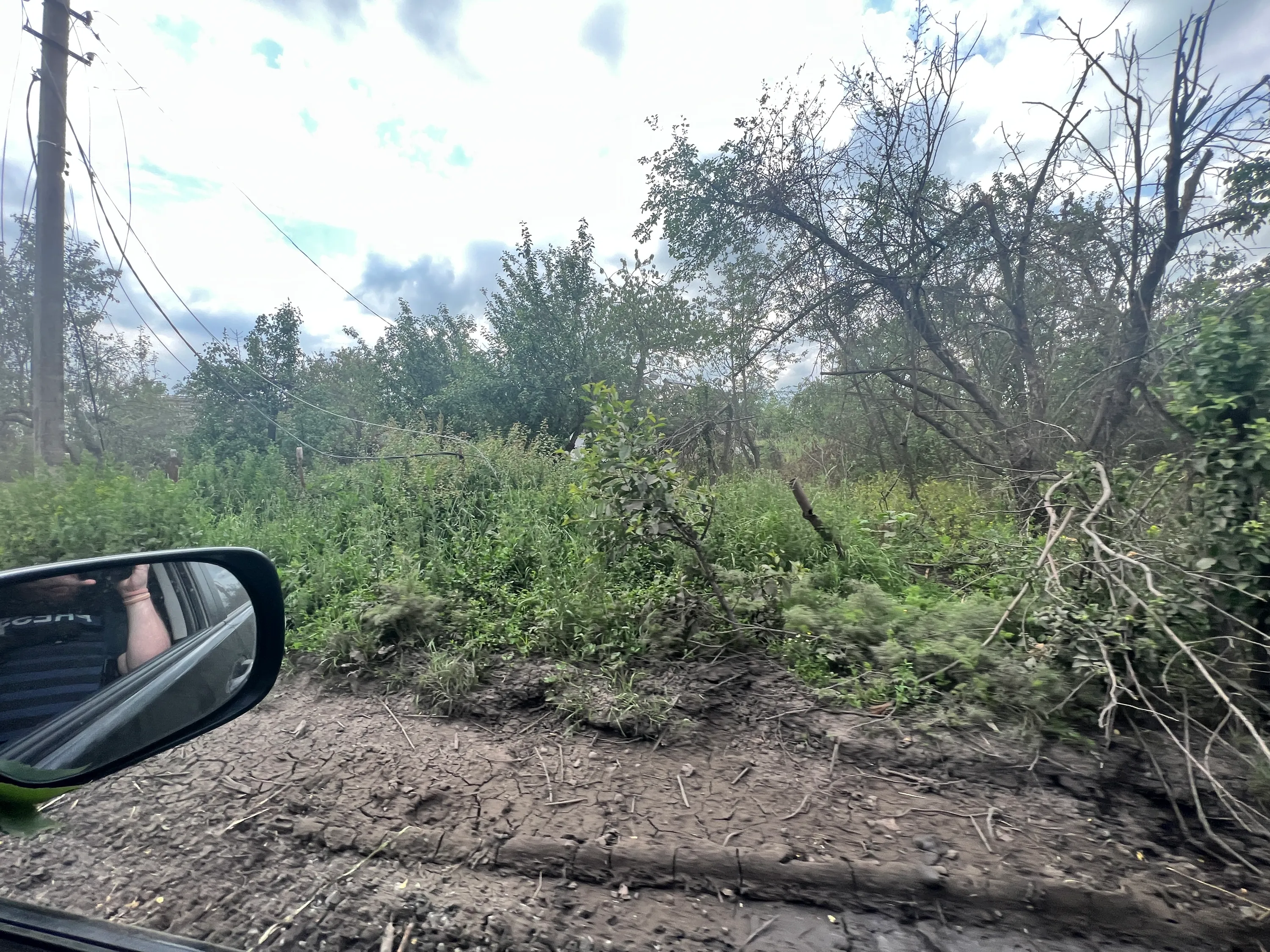 Який вигляд має звільнене Сторожеве Який вигляд має звільнене Сторожеве