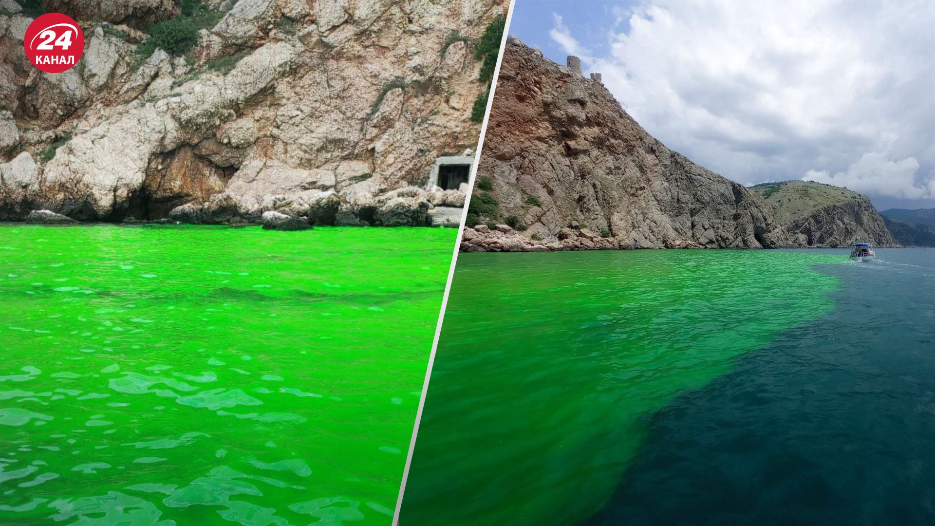 В Балаклавской бухте позеленела вода В Балаклавской бухте позеленела вода