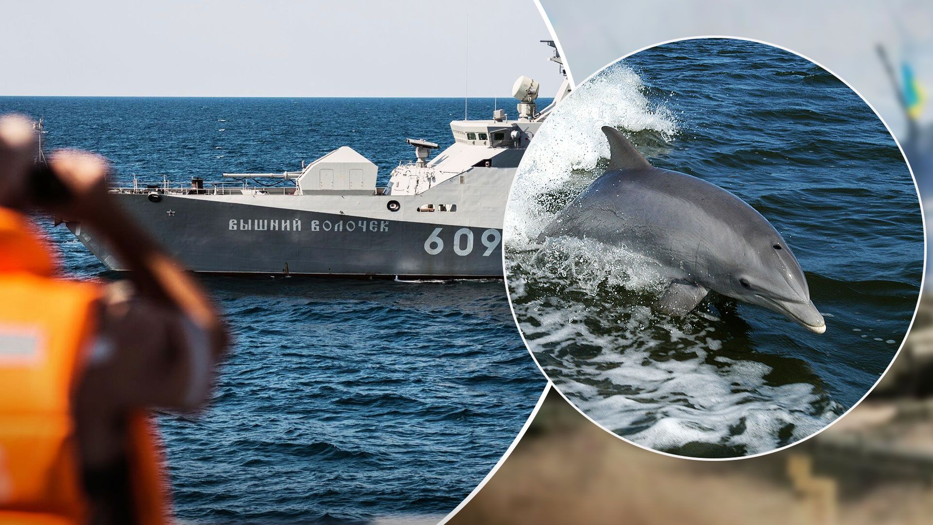 Росія використовує дельфінів для захисту Чорноморського флоту - 24 Канал
