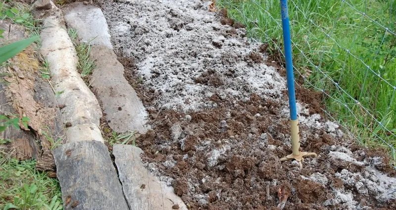 Рассыпаем пепел по грядке Рассыпаем пепел по грядке