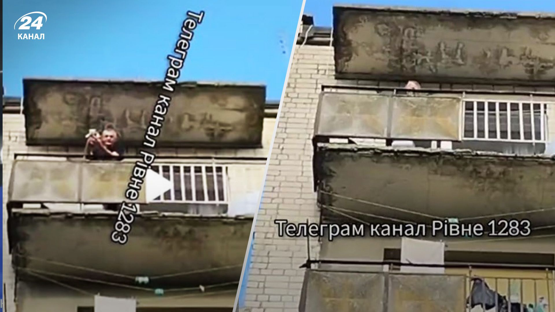 Мужчина мог выбросить кота из многоэтажки. Мужчина мог выбросить кота из многоэтажки.