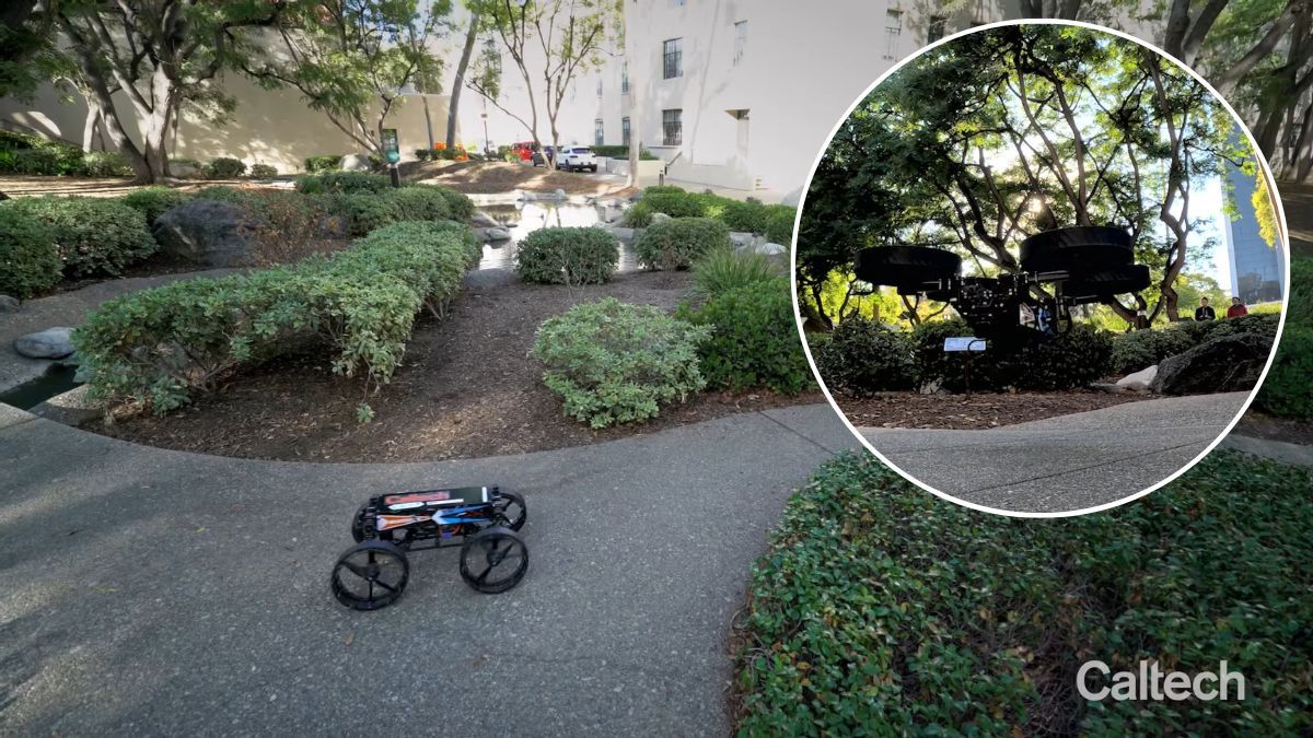 Morphobot M4 Morphobot M4