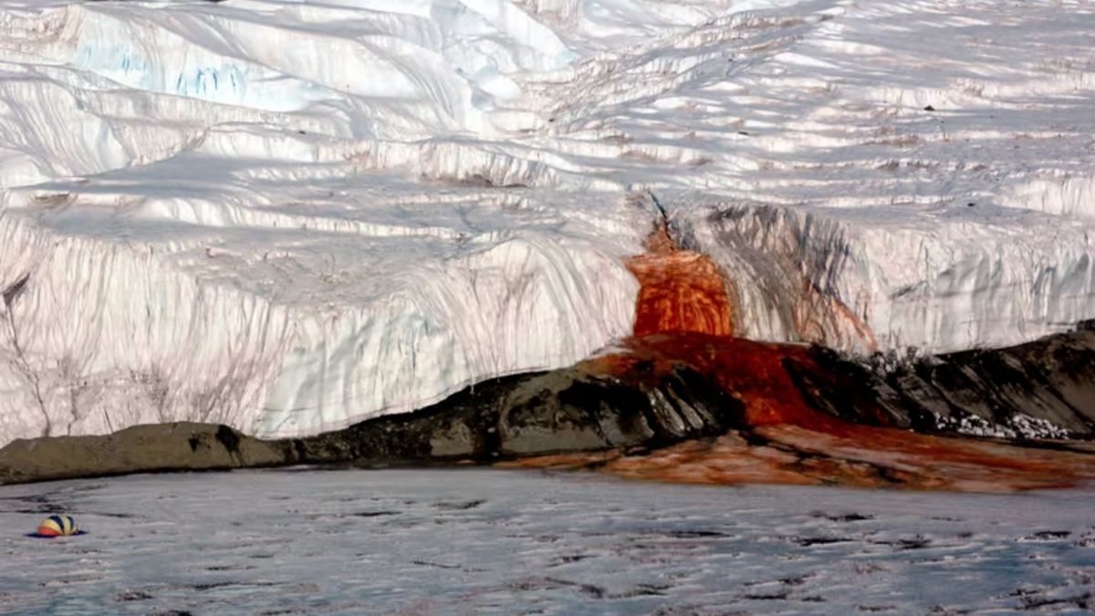 Кровавый водопад в Антарктиде наконец-то смогли объяснить