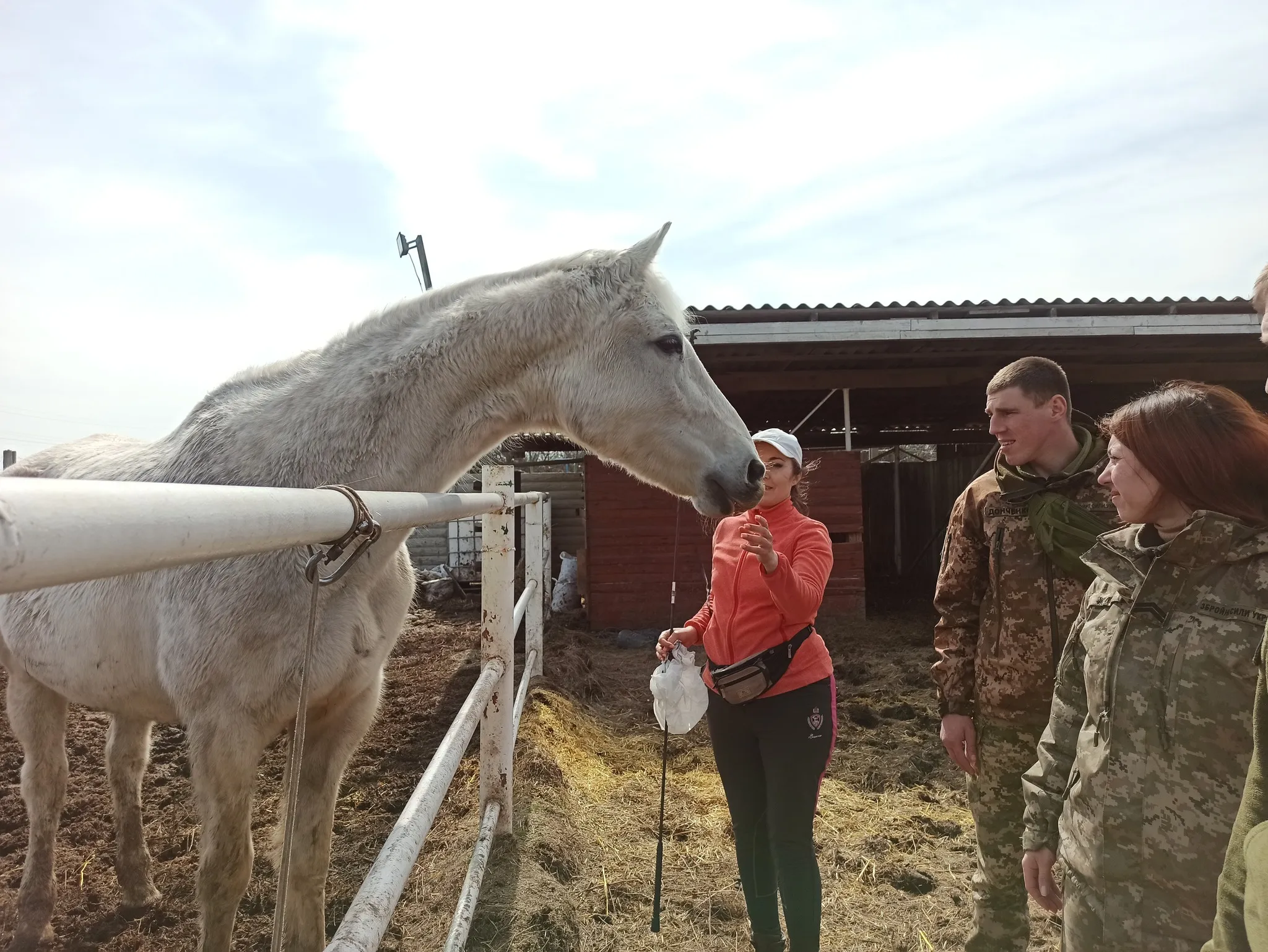 Іпотерапія для військових на Харківщині