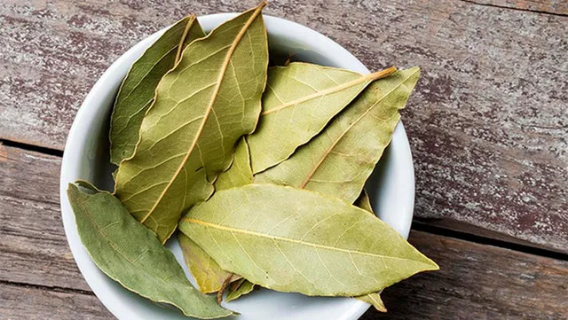 Лавровий лист Лавровий лист
