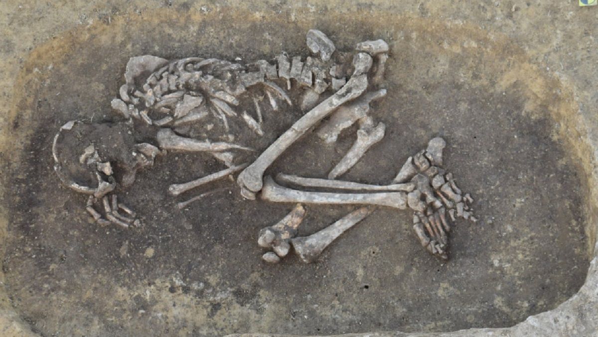 Останки людини знайдені в могильнику Останки людини знайдені в могильнику