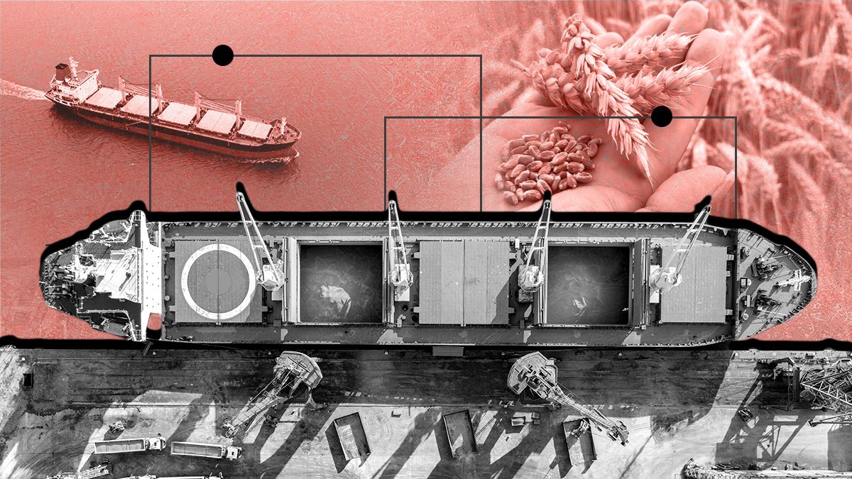 Как Россия вывозит тысячи тонн украинского зерна Как Россия вывозит тысячи тонн украинского зерна