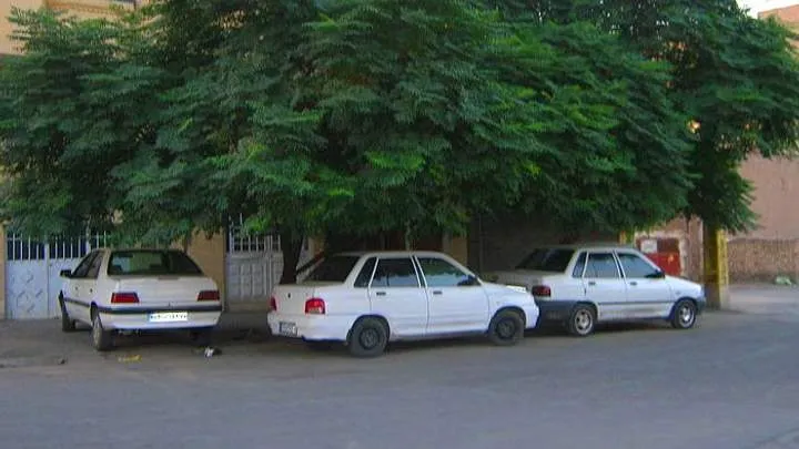 Авто в тіні Авто в тіні