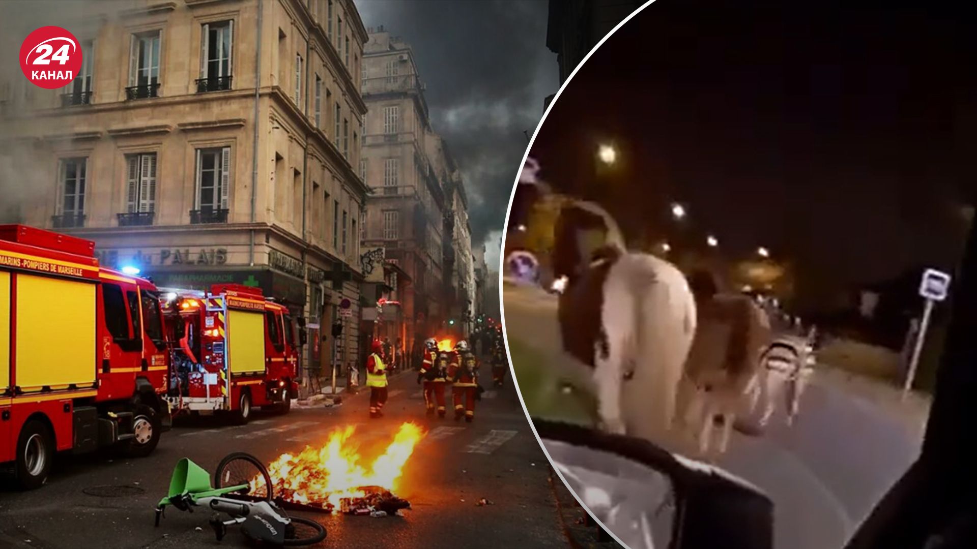 У Франції із зоопарку нібито втекли дикі тварини У Франції із зоопарку нібито втекли дикі тварини