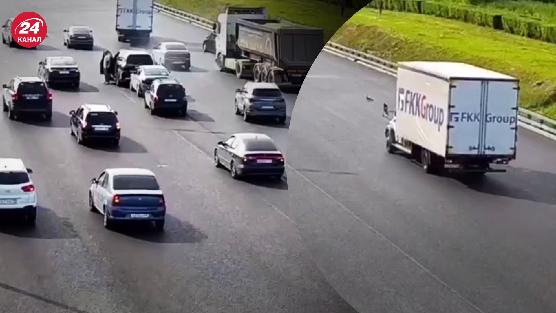 "Біологічна зброя": в Росії на МКАД сталась ДТП через каченят - 24 Канал "Біологічна зброя": в Росії на МКАД сталась ДТП через каченят - 24 Канал