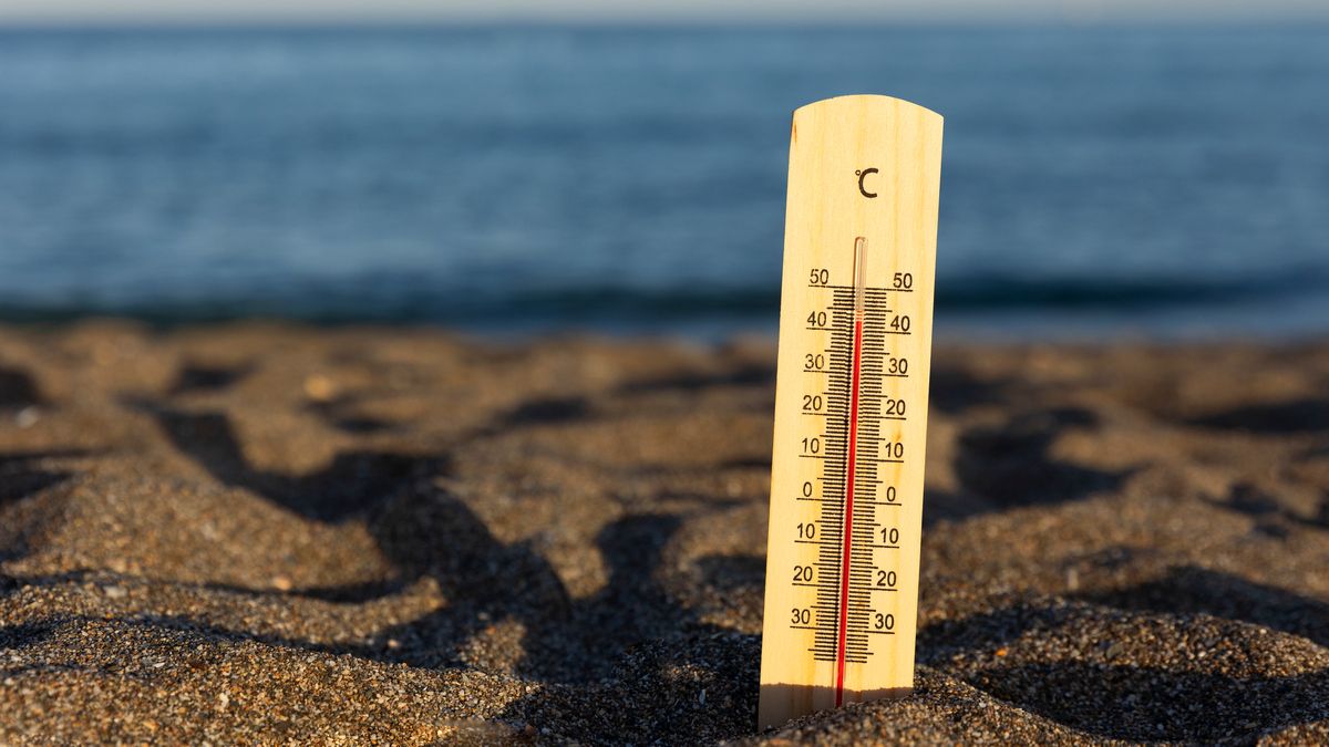 Ученые зафиксировали новый самый жаркий день в истории
