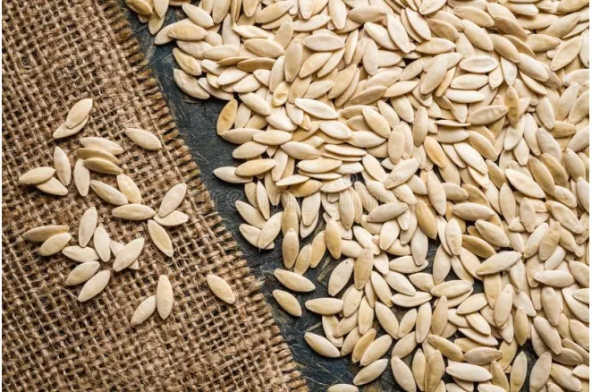 Семена огурцов Семена огурцов