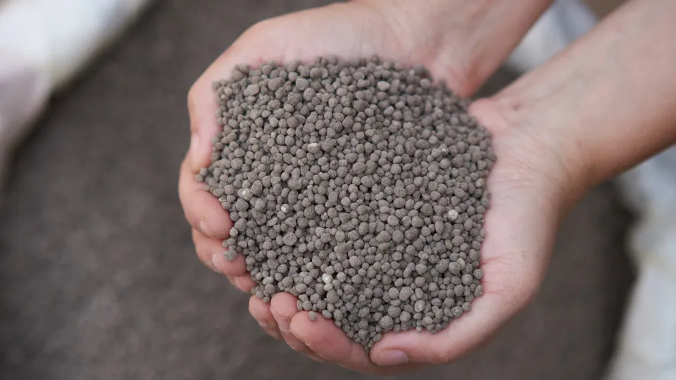 Суперфосфат Суперфосфат