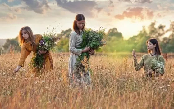 Сбор трав и цветов Сбор трав и цветов