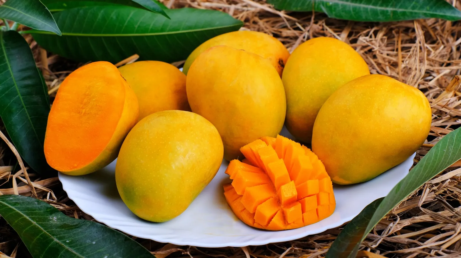 вред от манго