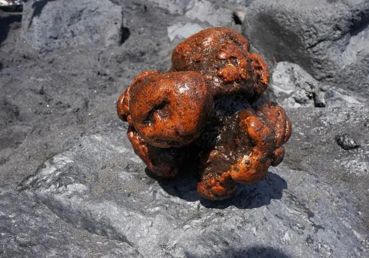 Коштовна амбра Коштовна амбра