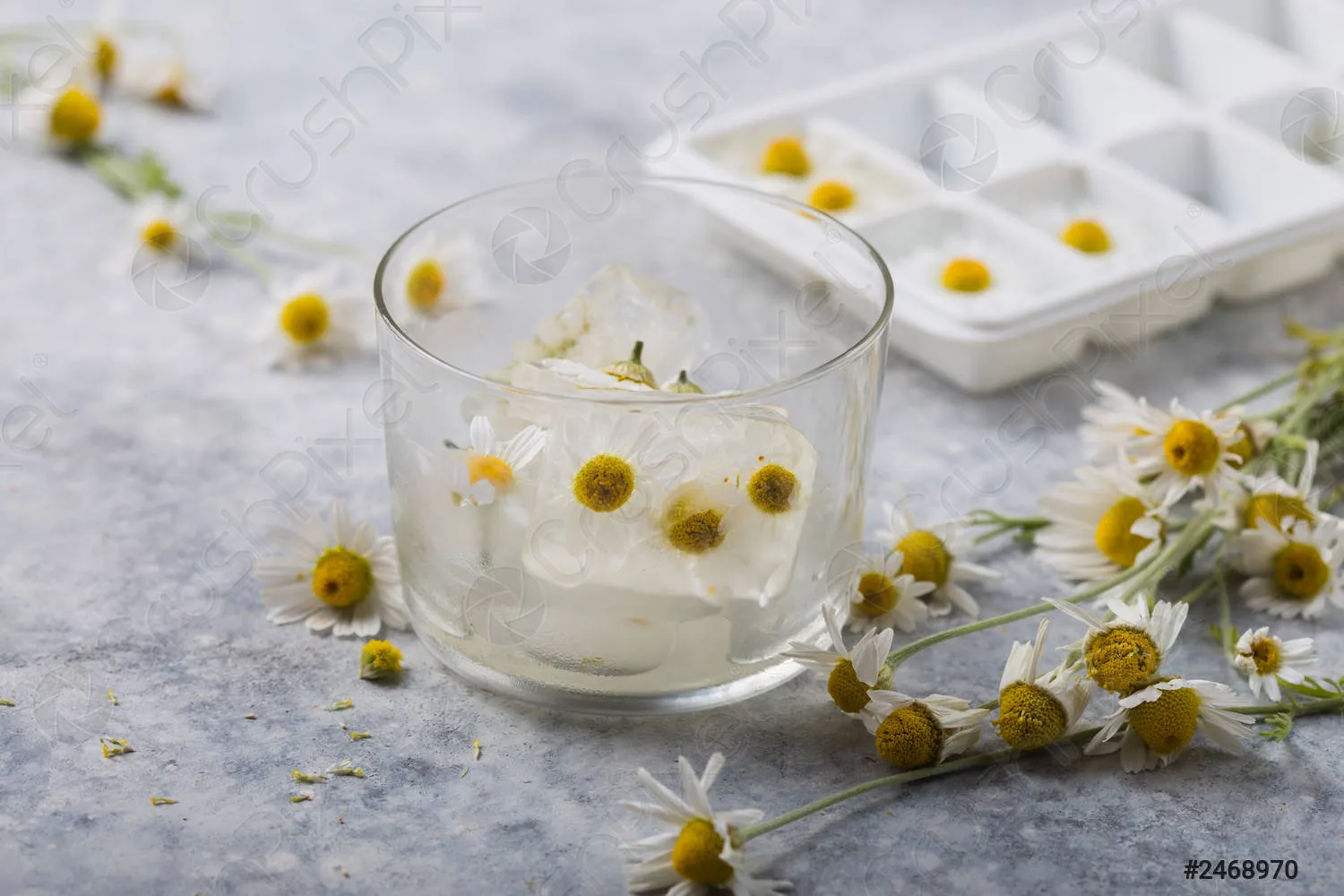 Кубики льда из ромашки. Кубики льда из ромашки.