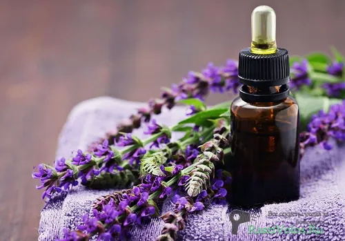 Лавандовое масло Лавандовое масло