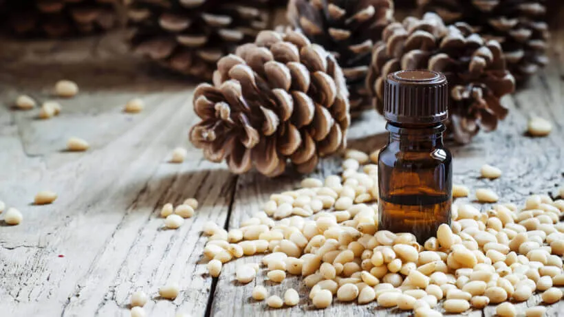 Кедровое масло Кедровое масло