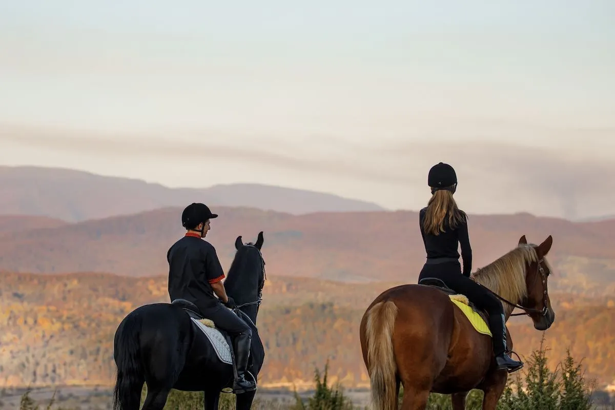 Їзда верхи Їзда верхи