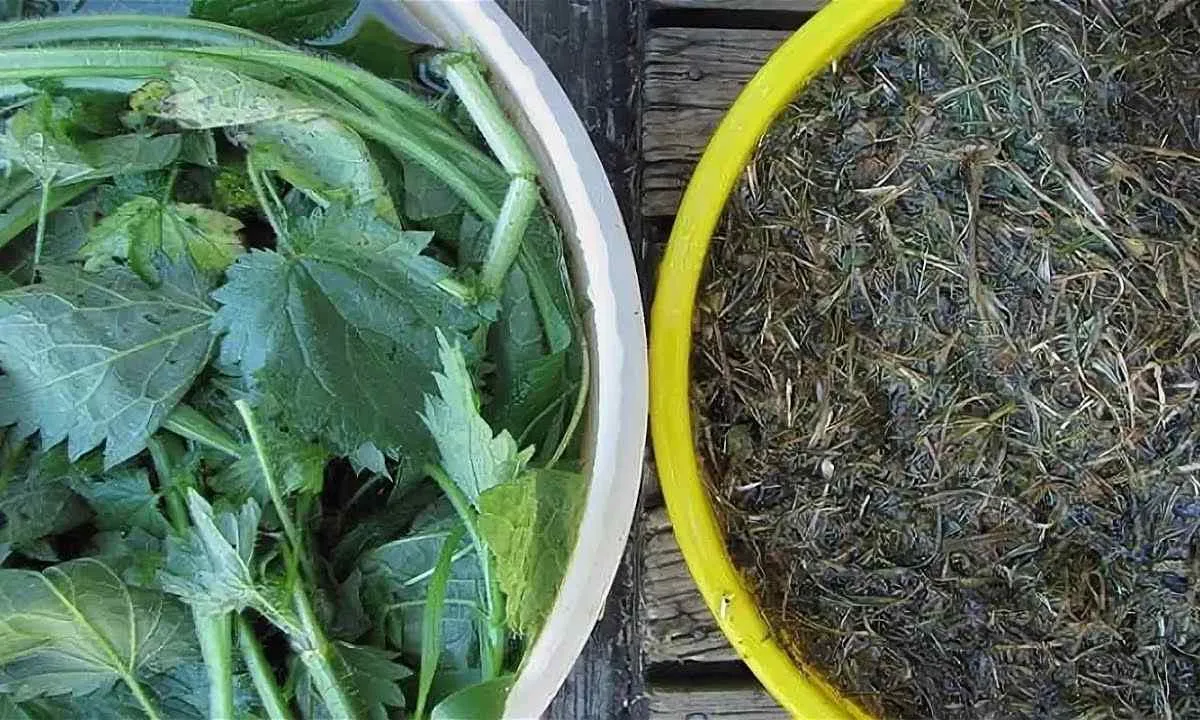 Скошенные сорняки Скошенные сорняки