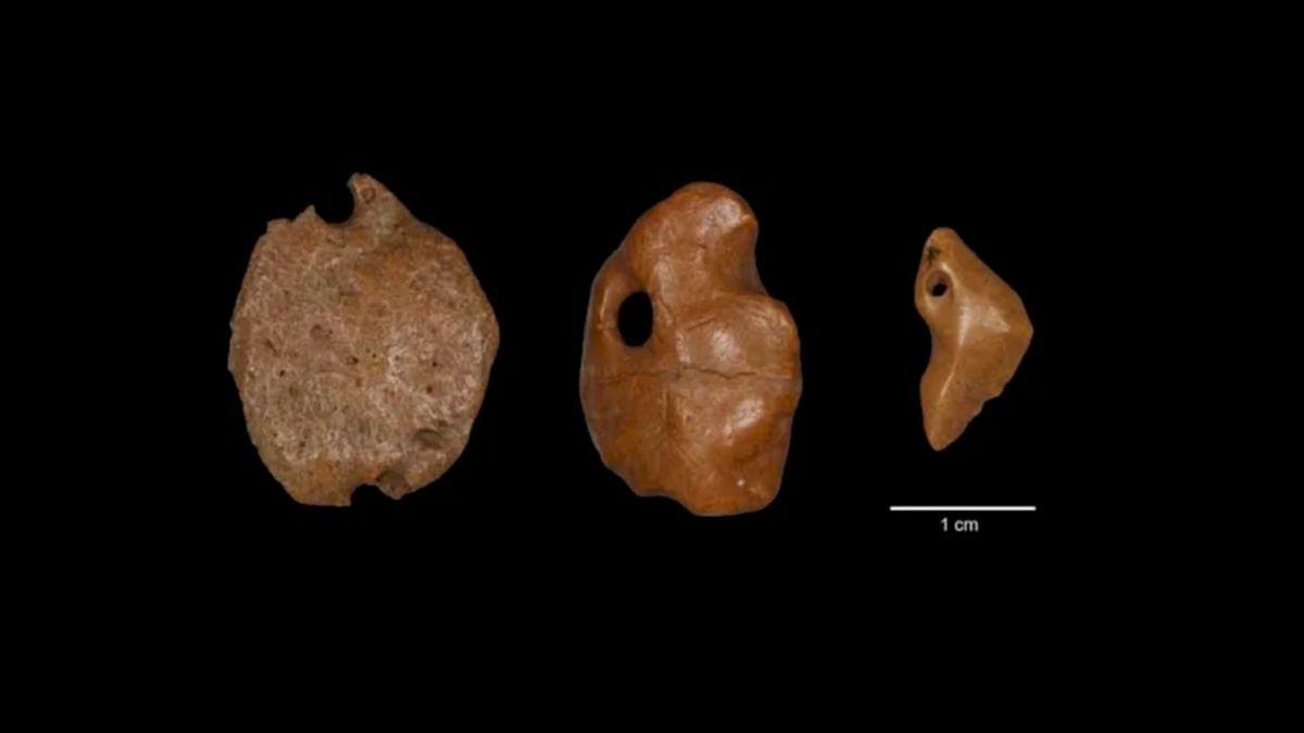 Кістки вимерлого лінивця показують, що люди прибули до Америки на 10 000 років раніше