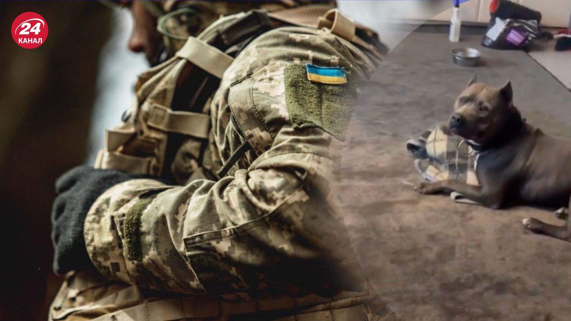 Рей плаче, коли проводжає господаря на війну Рей плаче, коли проводжає господаря на війну