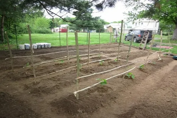 Кілки Кілки