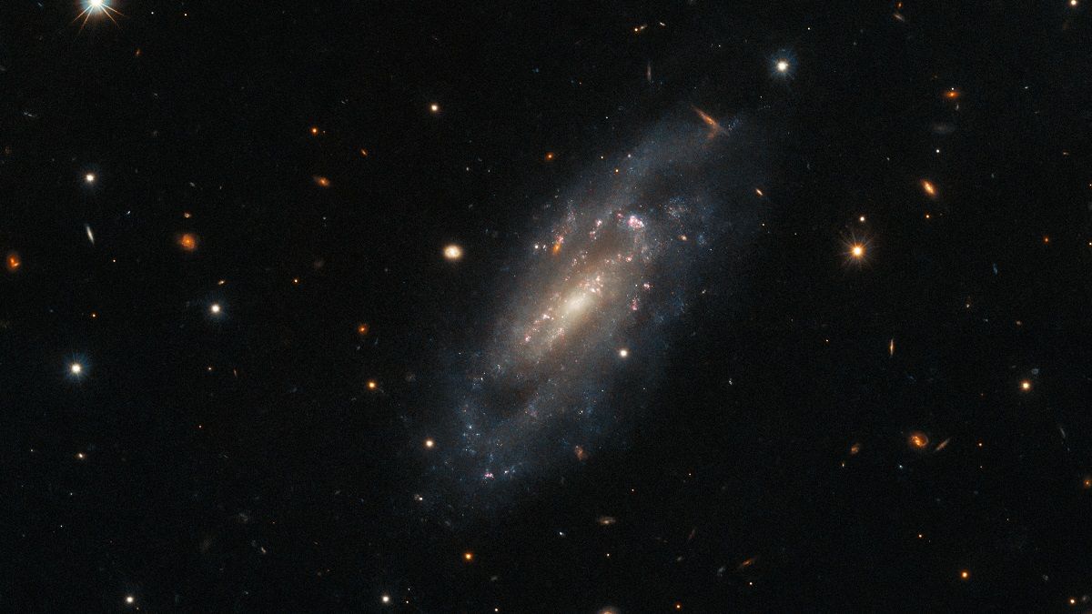 Галактика UGC 11860