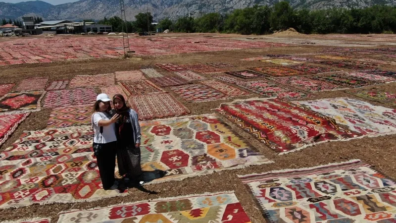 Гламурні поля приваблюють туристів та фотографів з усього світу