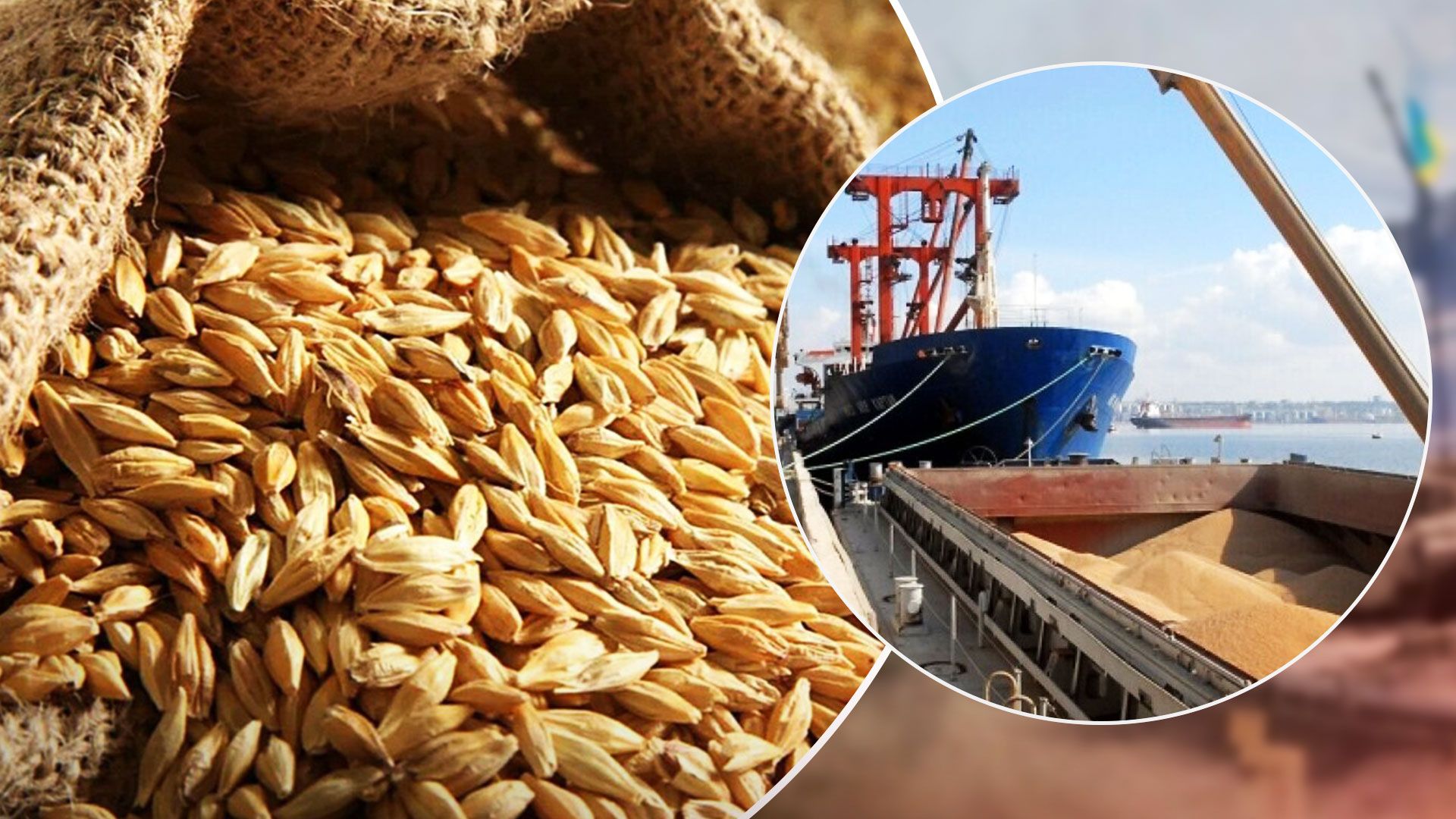 Зерновое соглашение разорвано - Хорватия и Литва может перевозить украинское зерно