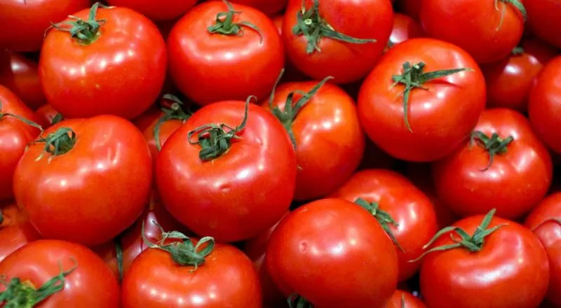 Красные помидоры Красные помидоры