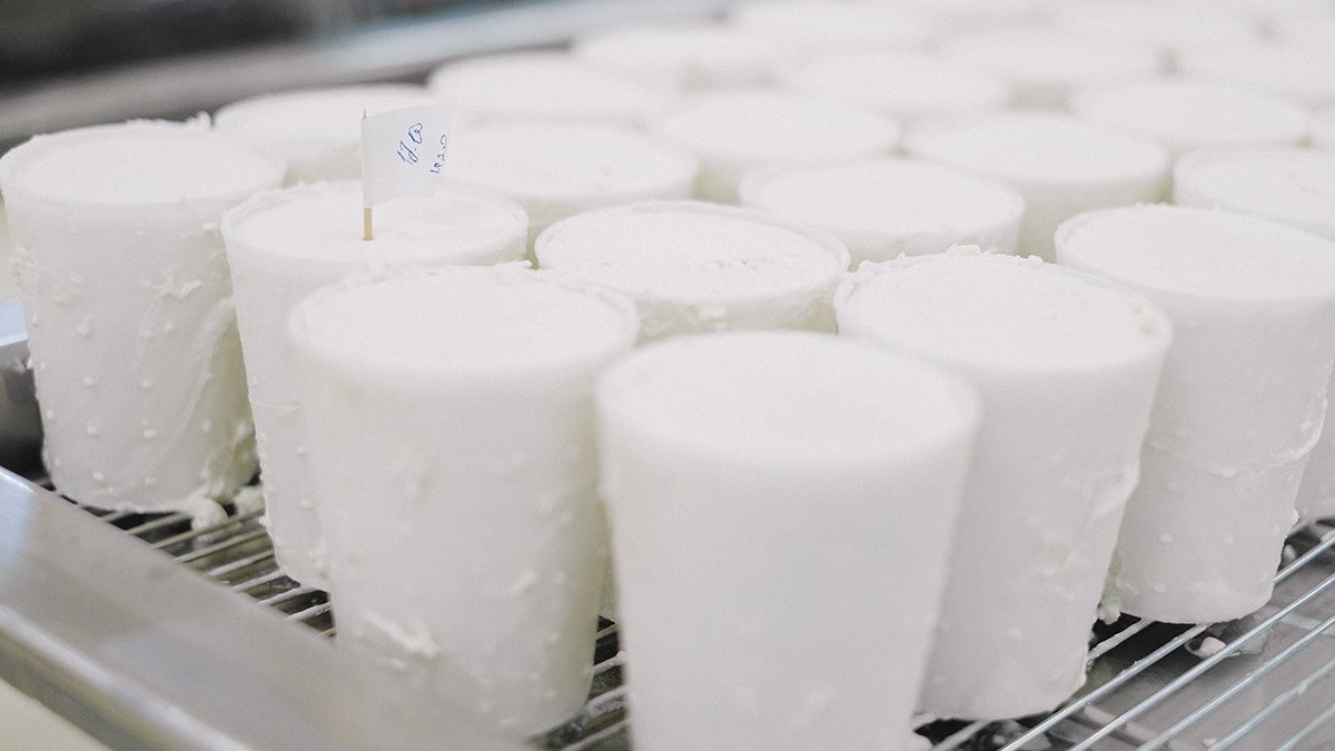 Цены на молочную продукцию могут возрасти Цены на молочную продукцию могут возрасти