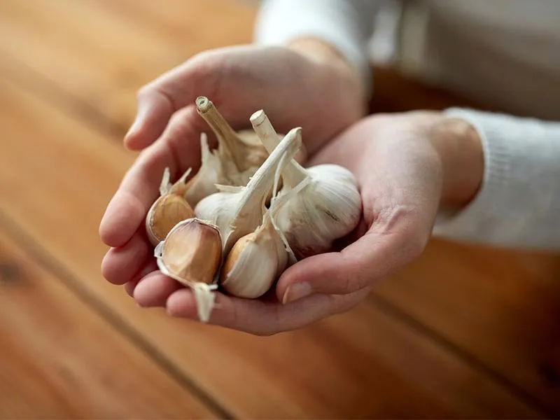 Зубці часнику Зубці часнику