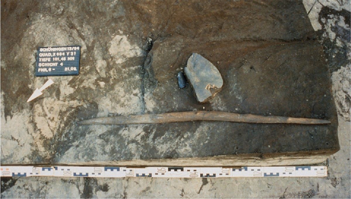 Артефакт в возрасте 300000 лет мог быть металлическим оружием