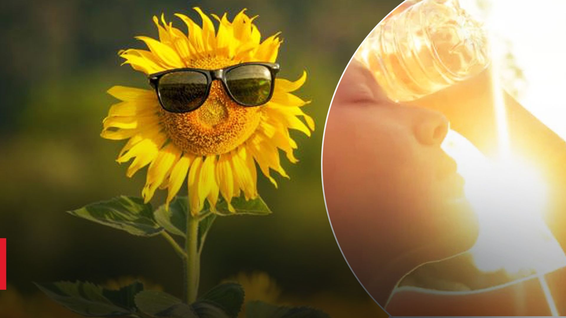 Когда в Украине наконец-то прекратятся дожди: обнадеживающий прогноз - 24 Канал Когда в Украине наконец-то прекратятся дожди: обнадеживающий прогноз - 24 Канал