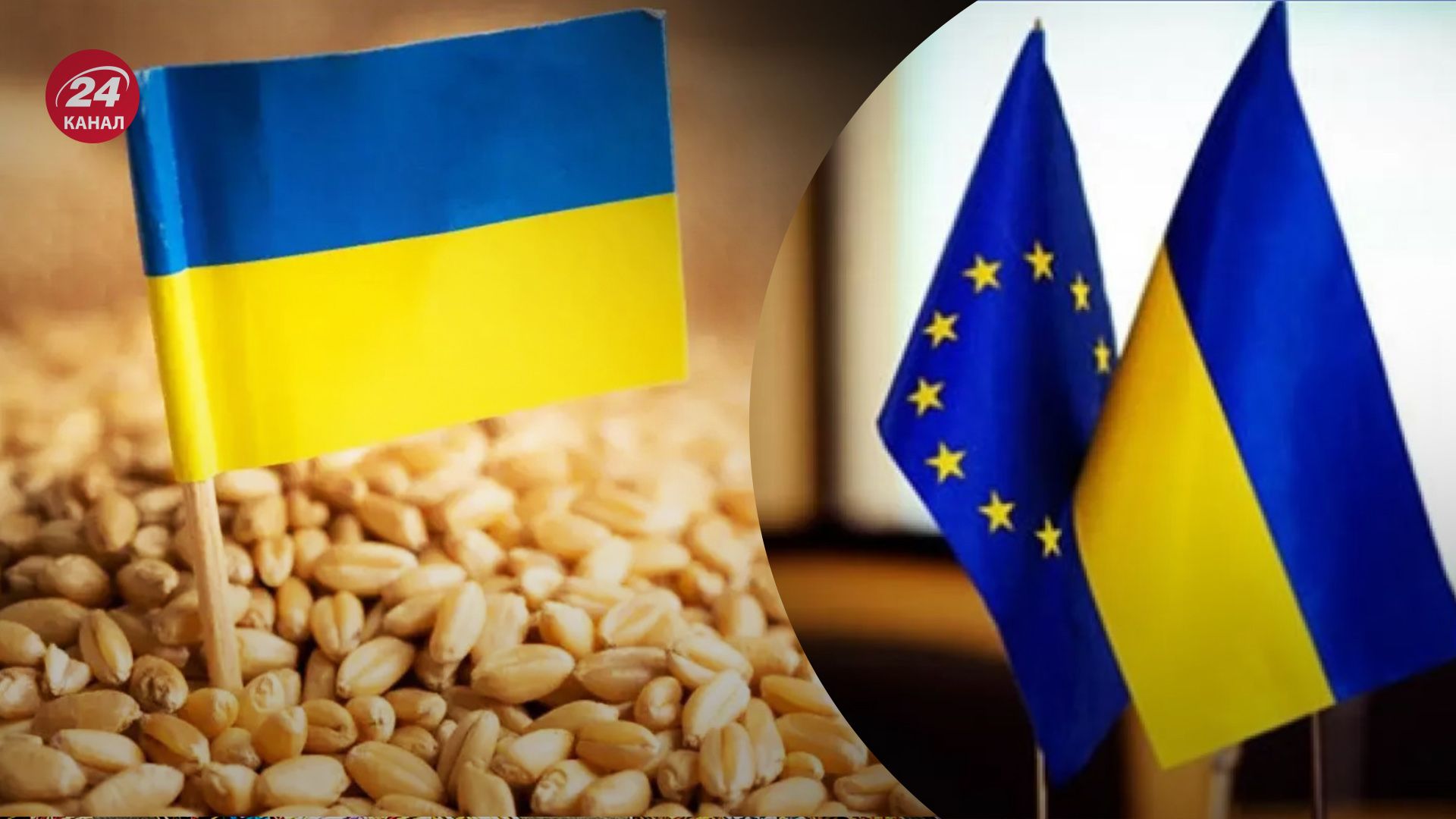  ЕС ищет пути выхода из зернового кризиса