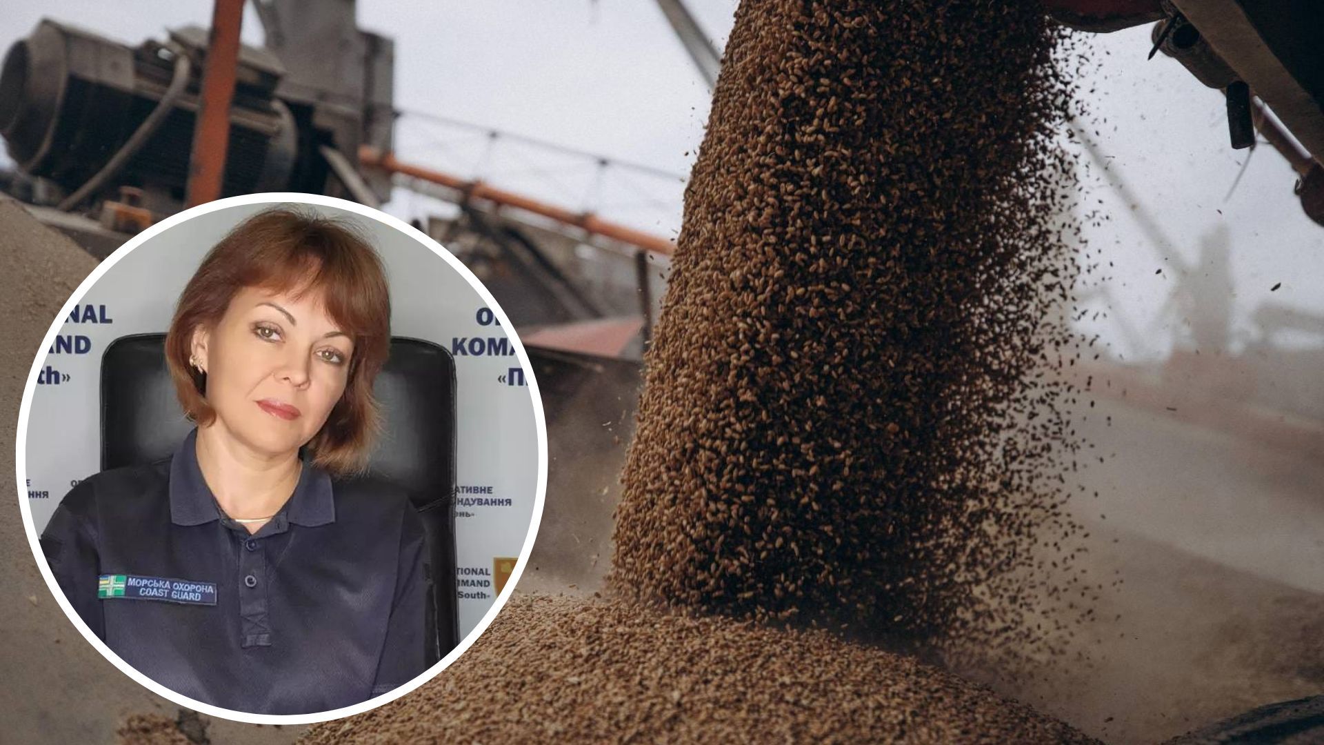 Наталья Гуменюк рассказала, что будут делать с "военными целями" в случае попыток кражи украинского зерна Наталья Гуменюк рассказала, что будут делать с "военными целями" в случае попыток кражи украинского зерна