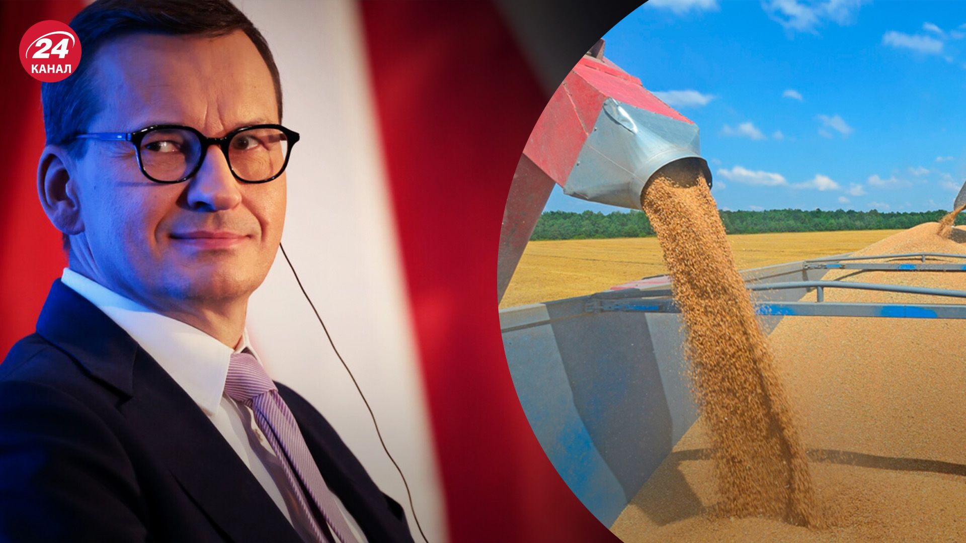 Импорт украинского зерна - может ли Польша запретить транзит - Экономика Импорт украинского зерна - может ли Польша запретить транзит - Экономика