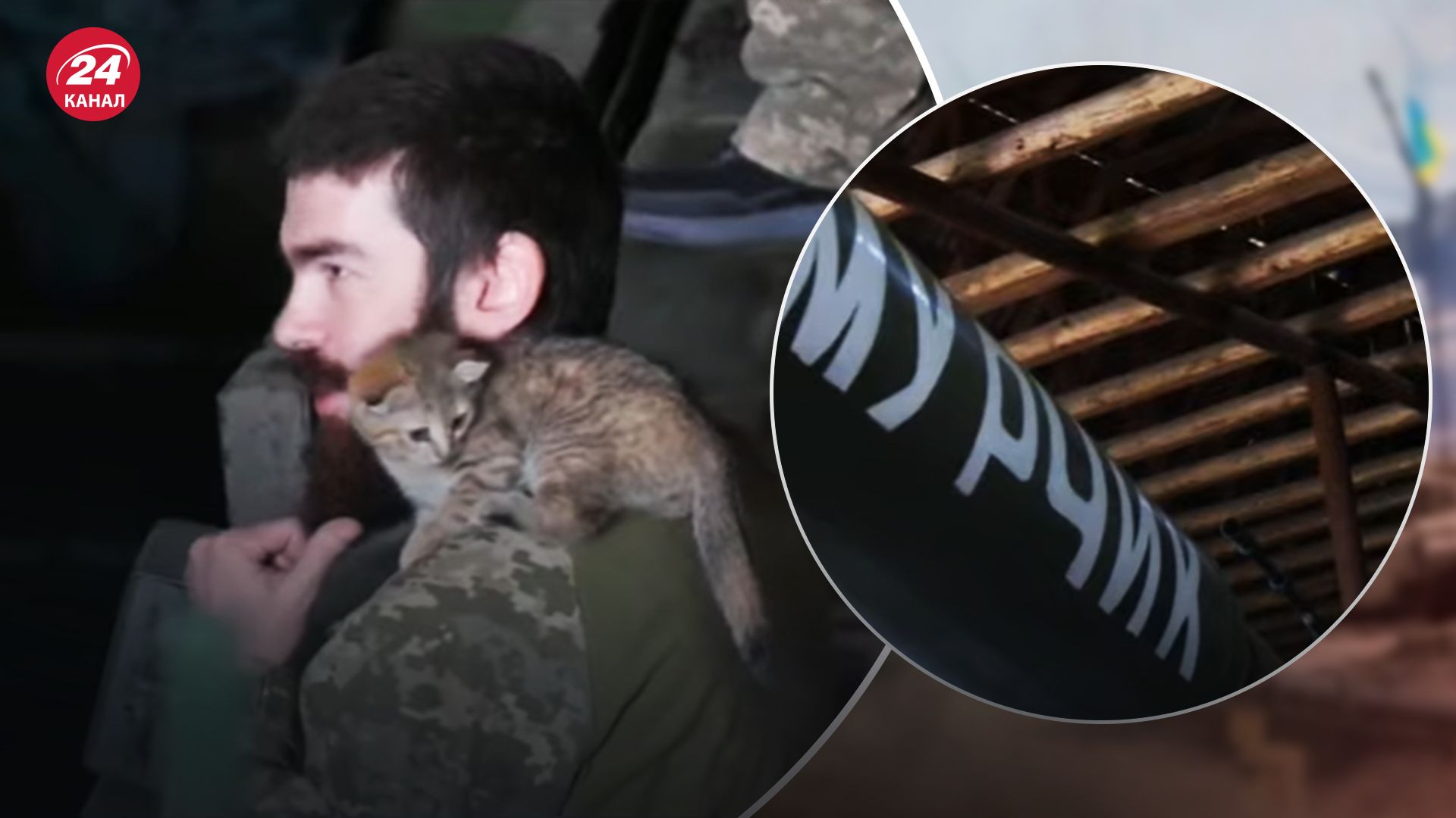 Защитникам помогают коты и танк "Мурчик" Защитникам помогают коты и танк "Мурчик"