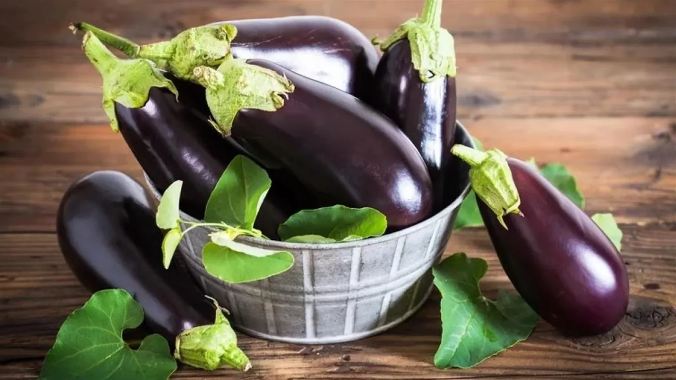 Баклажаны Баклажаны