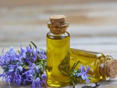 Масло чайного дерева Масло чайного дерева