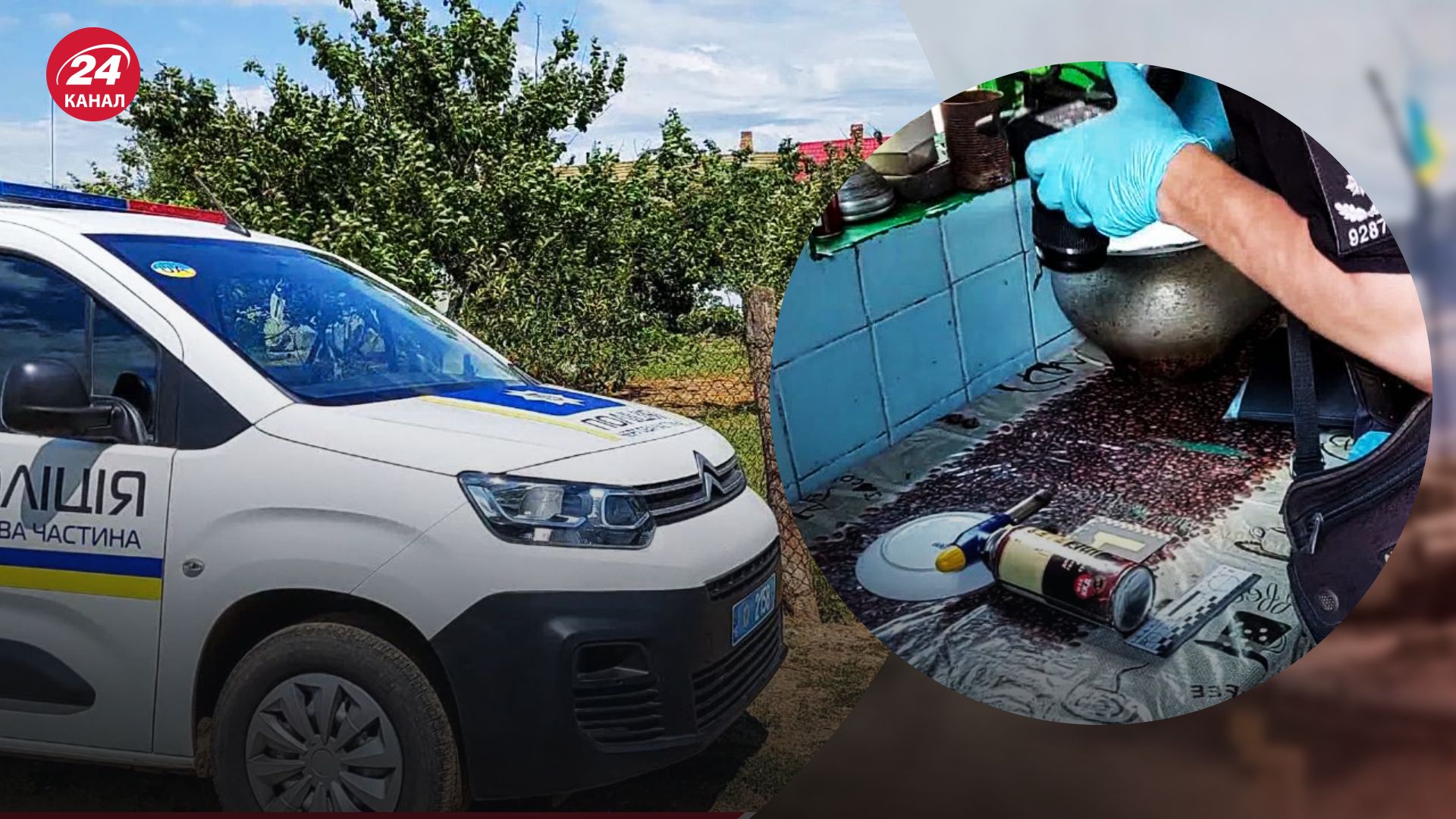 16-річній дівчині, яка знущалася з малого брата, оголосили підозру 16-річній дівчині, яка знущалася з малого брата, оголосили підозру