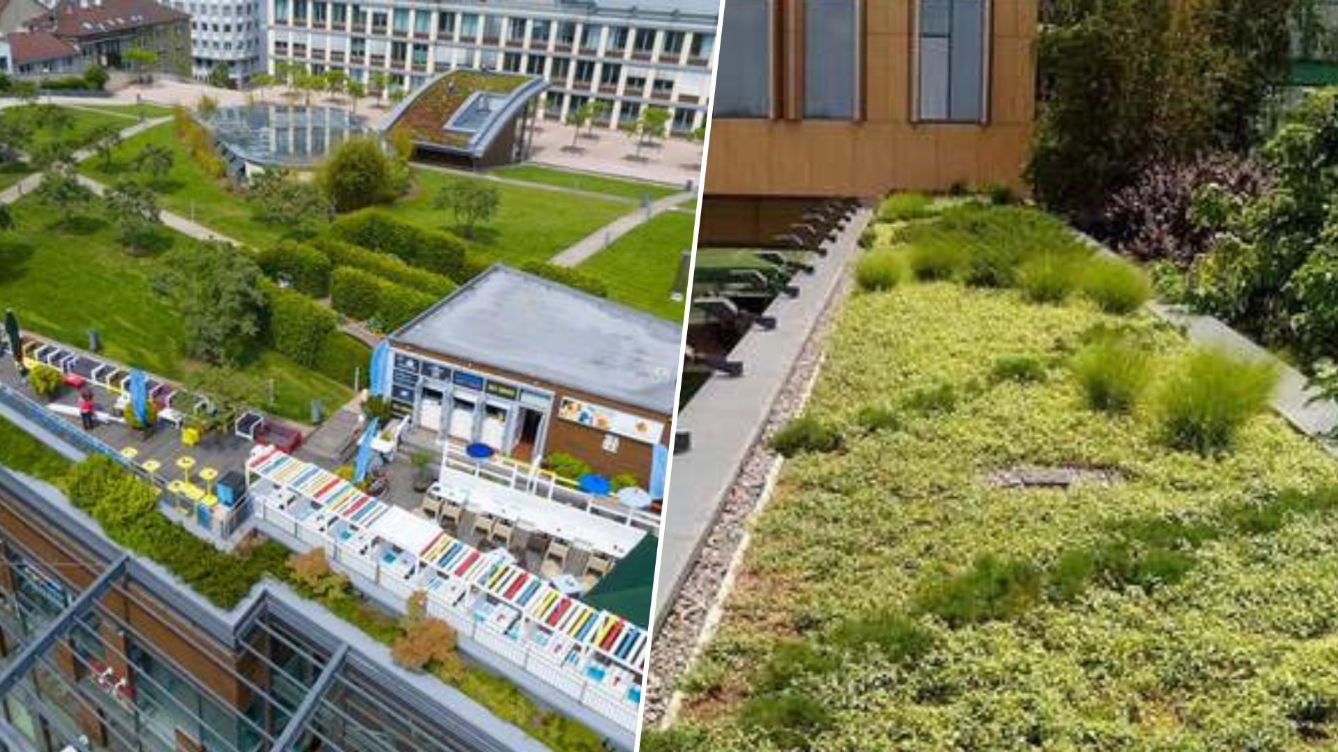 Що відомо про "зелену відбудову" України Що відомо про "зелену відбудову" України