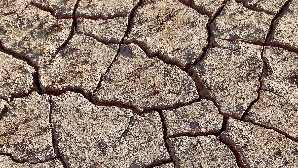 Жара несет немалую угрозу для человечества Жара несет немалую угрозу для человечества