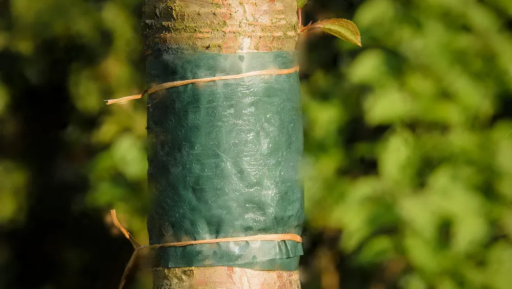 Ловчие пояса Ловчие пояса