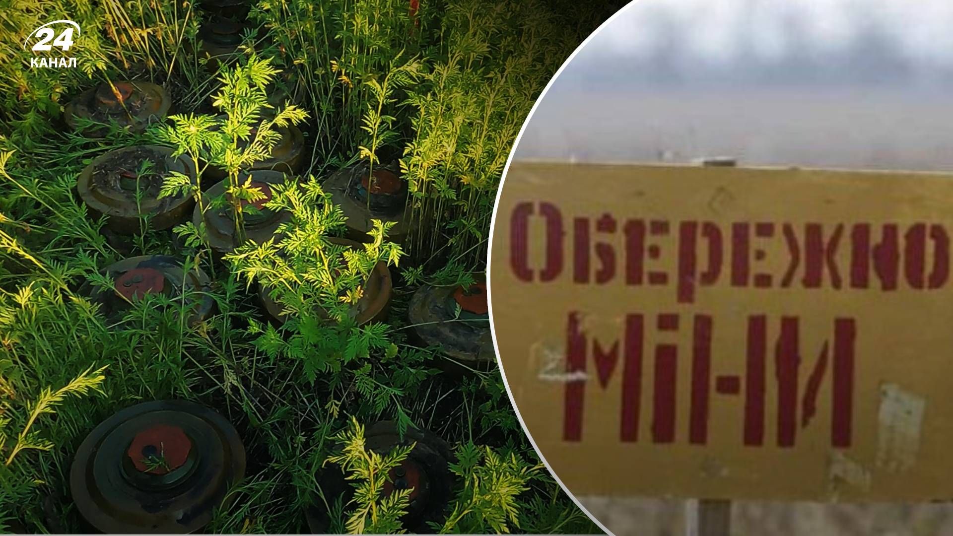 Мінування на Бердянсько-Маріупольському напрямку - як ЗСУ розміновує території Мінування на Бердянсько-Маріупольському напрямку - як ЗСУ розміновує території